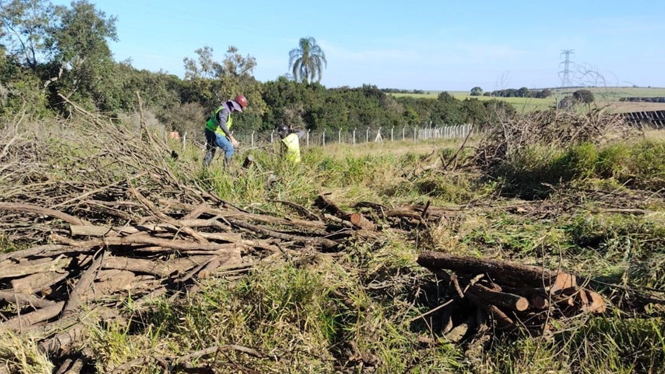 Preparação de Terreno e Cultivo